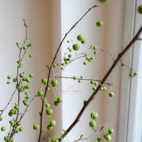 (Hoa Lẻ) Cành Táo Mini Xanh Lá Nhập Khẩu
