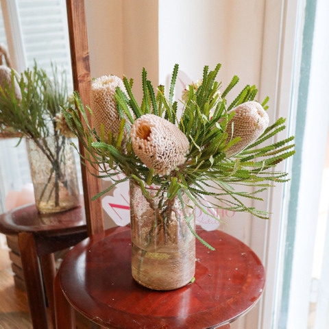 (Hoa Lẻ) Hoa Bankisa Nam Phi