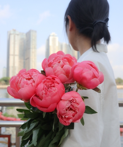 (Hoa Lẻ) Hoa Mẫu Đơn Nhập Khẩu