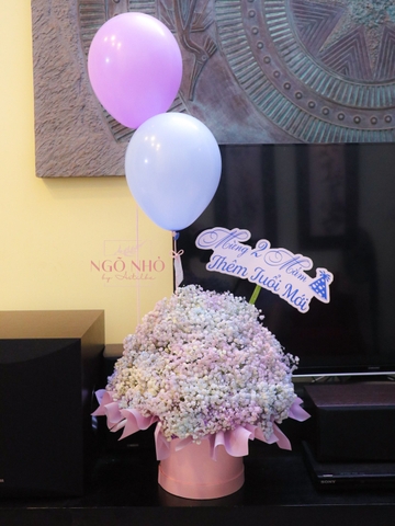 Hộp Hoa Babi Rainbow & Bong Bóng "Ngày Đặc Biệt"