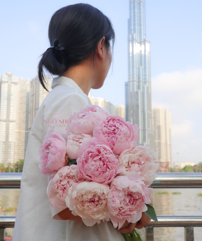 (Hoa Lẻ) Hoa Mẫu Đơn Nhập Khẩu