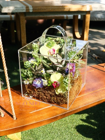 Hộp Sen Đá phối Lan Hồ Điệp 803