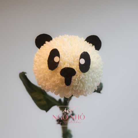 Bó hoa Animals "Bé Cưng" - Nhiều mẫu thú