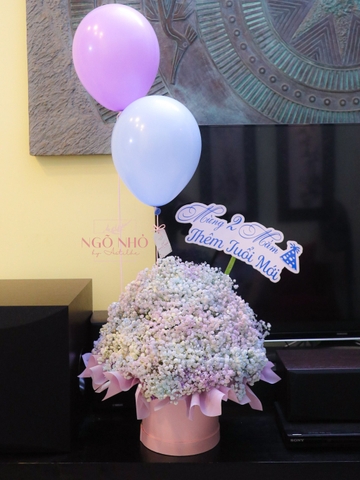 Hộp Hoa Babi Rainbow & Bong Bóng "Ngày Đặc Biệt"