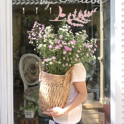 (Hoa Lẻ) Hoa Thạch Thảo