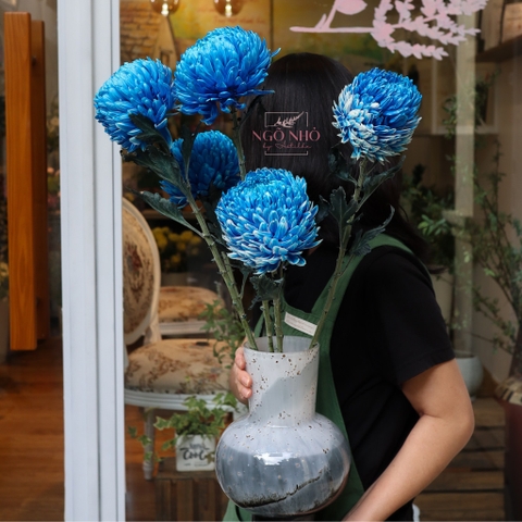 (Hoa lẻ) Hoa Cúc Mẫu Đơn Malaysia