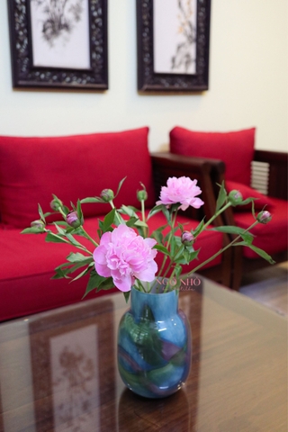 (Hoa Lẻ) Hoa Mẫu Đơn Côn Minh