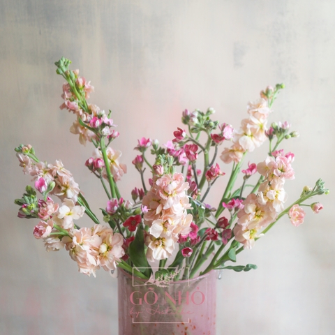 SET hoa thả bình 002 - Bình Sakura