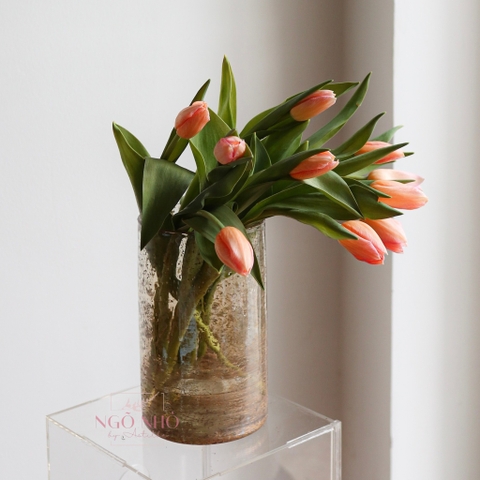 (Hoa Lẻ) Hoa Tulip Hà Lan | Đủ Màu