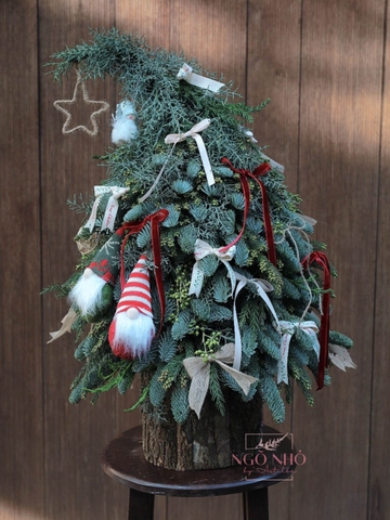 Hộp Thông Nhập Khẩu - Xmas 096