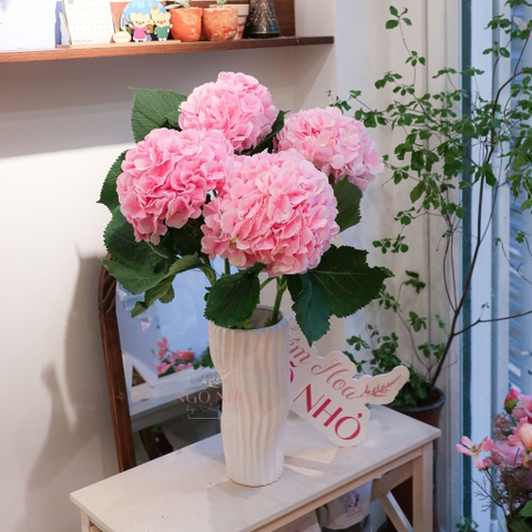 (Hoa Lẻ) Cẩm Tú Cầu Nhập Khẩu Hà Lan | Đủ Màu