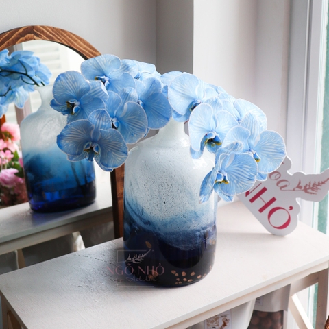 (Hoa Lẻ) Cành Lan Hồ Điệp Xanh Blue Nhuộm Apollo