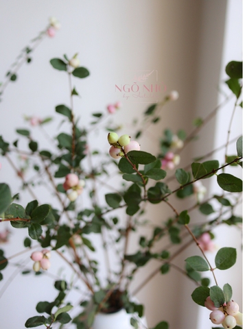 (Hoa Lẻ) Cành Quả Dâu Tuyết Hồng Nhập Khẩu