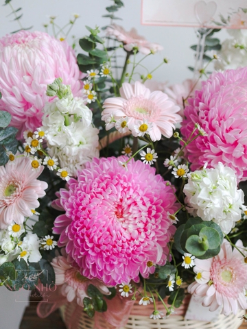 Giỏ Hoa Cúc Mẫu Đơn Hồng Nhạt 238