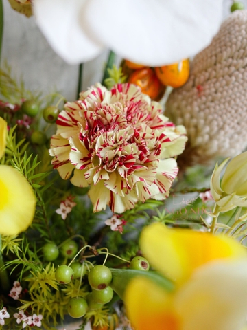 Tranh Hoa Tươi Nhập Khẩu Nam Phi 2680