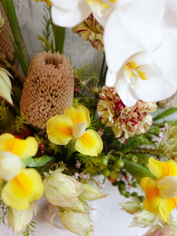 Tranh Hoa Tươi Nhập Khẩu Nam Phi 2680