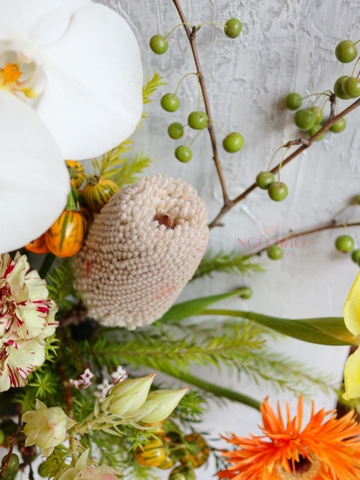 Tranh Hoa Tươi Nhập Khẩu Nam Phi 2680