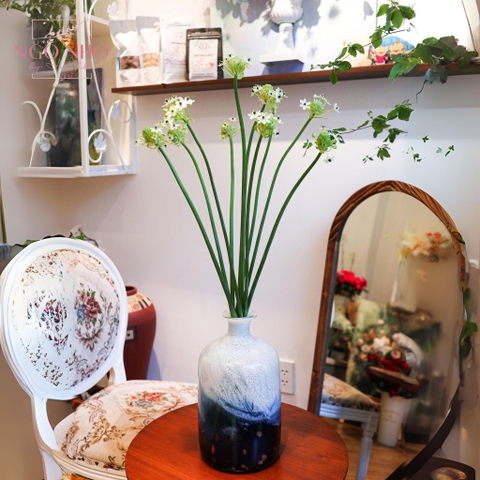 (Hoa Lẻ) Hoa Thiên Nga Mắt Ngọc