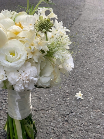 Hoa Cưới Dáng Tròn Tulip, Dạ Lan Hương & Thủy Tiên