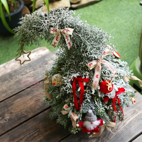 Cây thông dáng nghiêng, phủ tuyết size 35cm