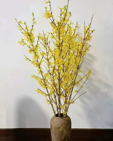 Mai Mỹ cành size 110cm