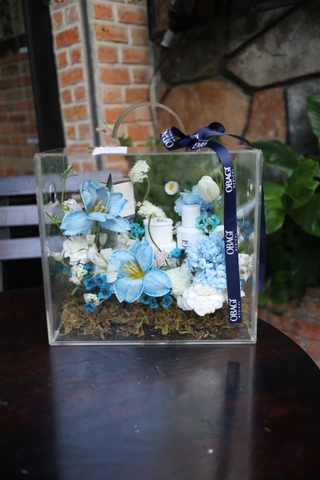 Hộp mica 24×27 tulip xanh mix trắng