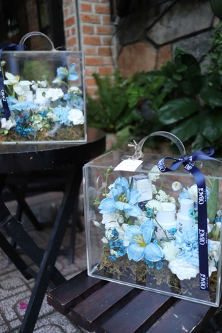 Hộp mica 24×27 tulip xanh mix trắng