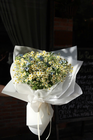 Bó sao xanh mix tana