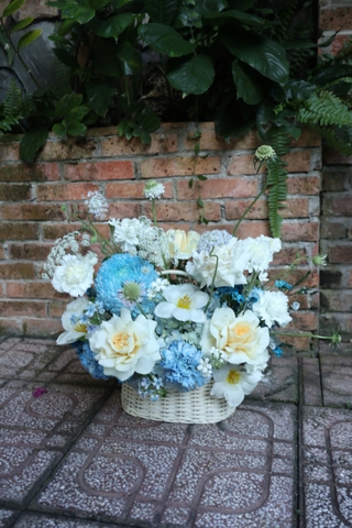 Giỏ hoa trắng vs xanh dương