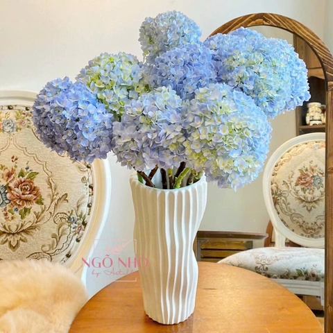 (Hoa lẻ) Cẩm tú cầu xanh dương Đà Lạt