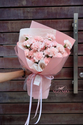 Bó cẩm chướng hồng