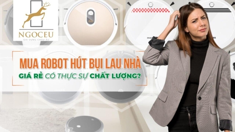 Robot hút bụi giá rẻ có tốt không? 4+ lưu ý khi chọn mua robot chuẩn xác