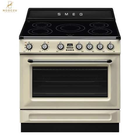 Bếp từ hỗn hợp kèm lò nướng Smeg TR90IPP