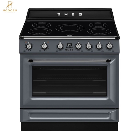 Bếp từ hỗn hợp kèm lò nướng Smeg TR90IPGR