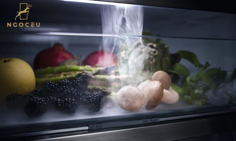 Tủ mát âm tủ Miele K 7778C