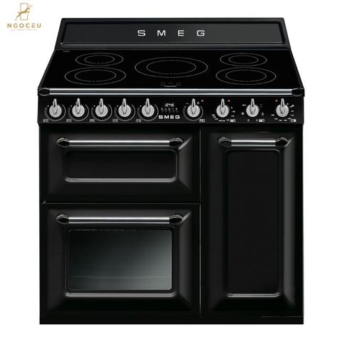 Bếp từ hỗn hợp kèm lò nướng Smeg TR93IBL2