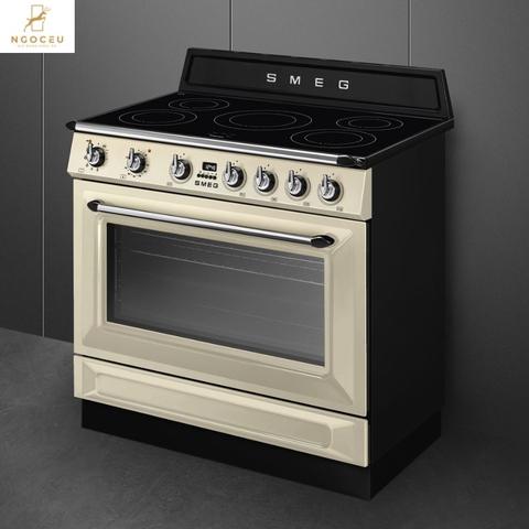 Bếp từ hỗn hợp kèm lò nướng Smeg TR90IPP