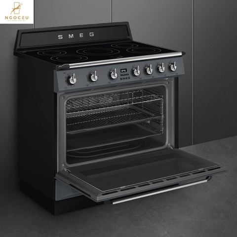 Bếp từ hỗn hợp kèm lò nướng Smeg TR90IPGR
