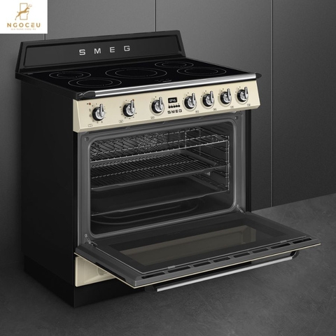 Bếp từ hỗn hợp kèm lò nướng Smeg TR90IPP