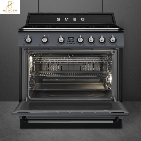 Bếp từ hỗn hợp kèm lò nướng Smeg TR90IPGR