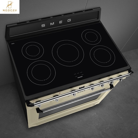 Bếp từ hỗn hợp kèm lò nướng Smeg TR90IPP