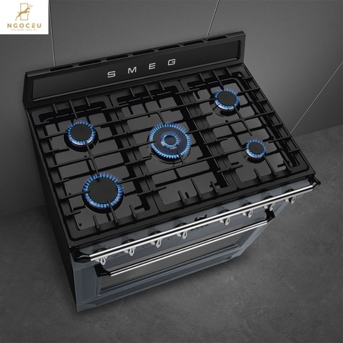 Bếp gas hỗn hợp kèm lò nướng Smeg TR90GMGR