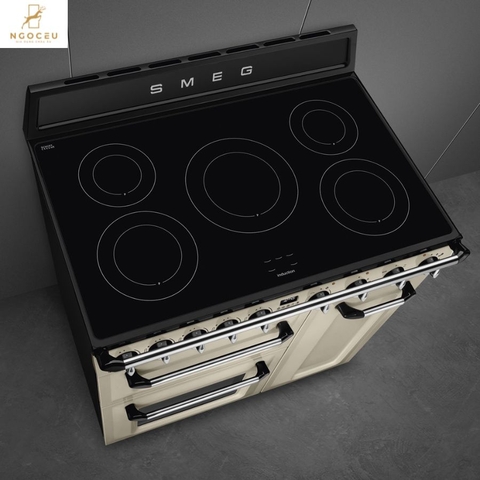 Bếp từ hỗn hợp kèm lò nướng Smeg TR93IP2
