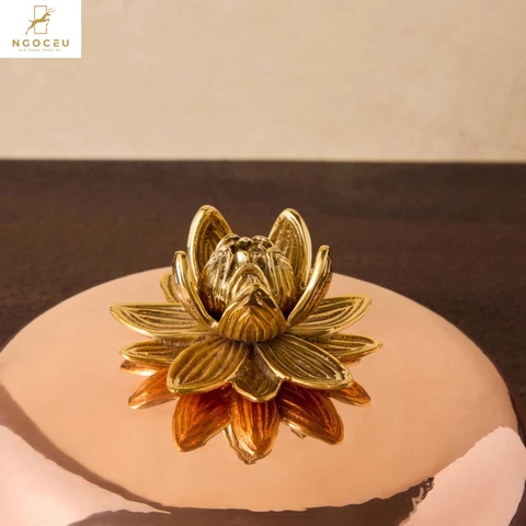 Bộ sản phẩm Ruffoni Lotus 5 món