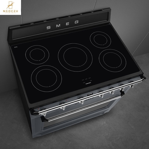 Bếp từ hỗn hợp kèm lò nướng Smeg TR90IPGR