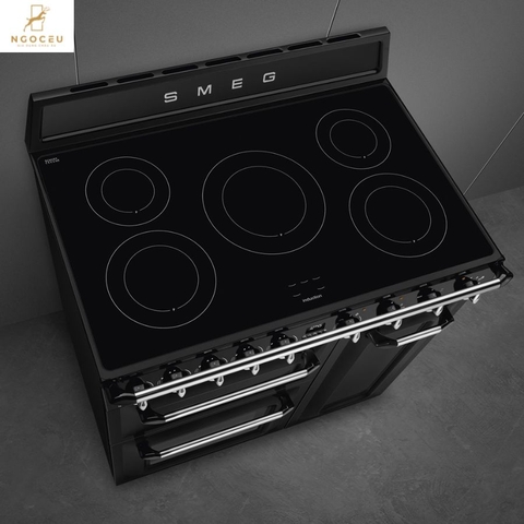 Bếp từ hỗn hợp kèm lò nướng Smeg TR93IBL2