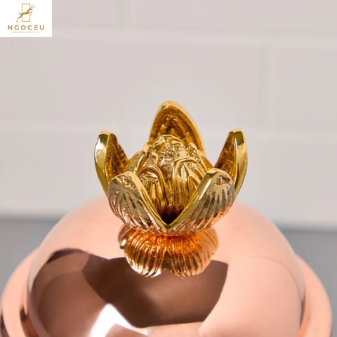Bộ sản phẩm Ruffoni Lotus 5 món