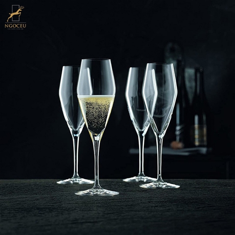 Set ly champange Nachtmann ViNova 98075 Champange 4c