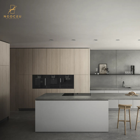Lò hấp cánh trái Gaggenau BSP221101 - Series 200 - Màu Xám Than