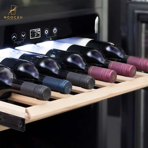 Tủ bảo quản rượu vang Caso WineDeluxe E29